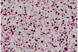 Matte Color Chunky Glitter Paper