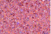P232603