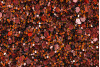 P232604
