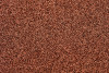 P103905C  Camel