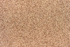 P103920C  Apricot