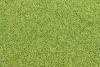 P103924C  Lime