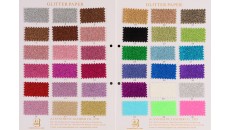Color Book - Bright Fine Glitter Paper