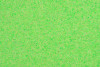 P108820R  Cricket