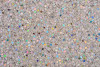 P142103H  Hologram Silver
