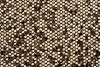 P142108C  Black Gold