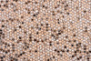 P142109C  Jasmine