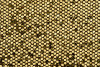 P142114C  Golden