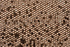 P142116C  Apricot