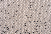 P142120C  Silver