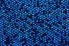 P142124C  Blue