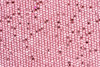 P142132C  Shell Pink