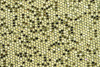 P142135C  Light Green