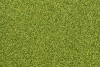 P211618C  Lime