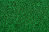 P211619C  Green