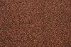 P211629C  Camel