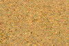 P223302H  Hologram Gold