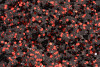 P223307C  Black Red