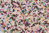 P223311C  Colorful