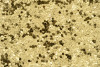 P223314C  Golden