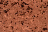 P223318C  Sepia