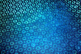 Glitter Mesh Synthetic Leather